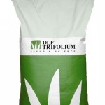 dlf-trifolium-playground-zole-vejos-seklos-misinys-kovas-uab-prekyba-trakai-sodo-darzo-prekes